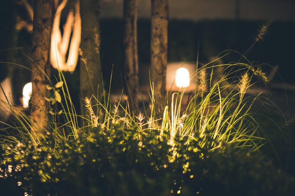 A tranquil garden scene at night featuring softly illuminated grass and trees, creating a serene atmosphere.